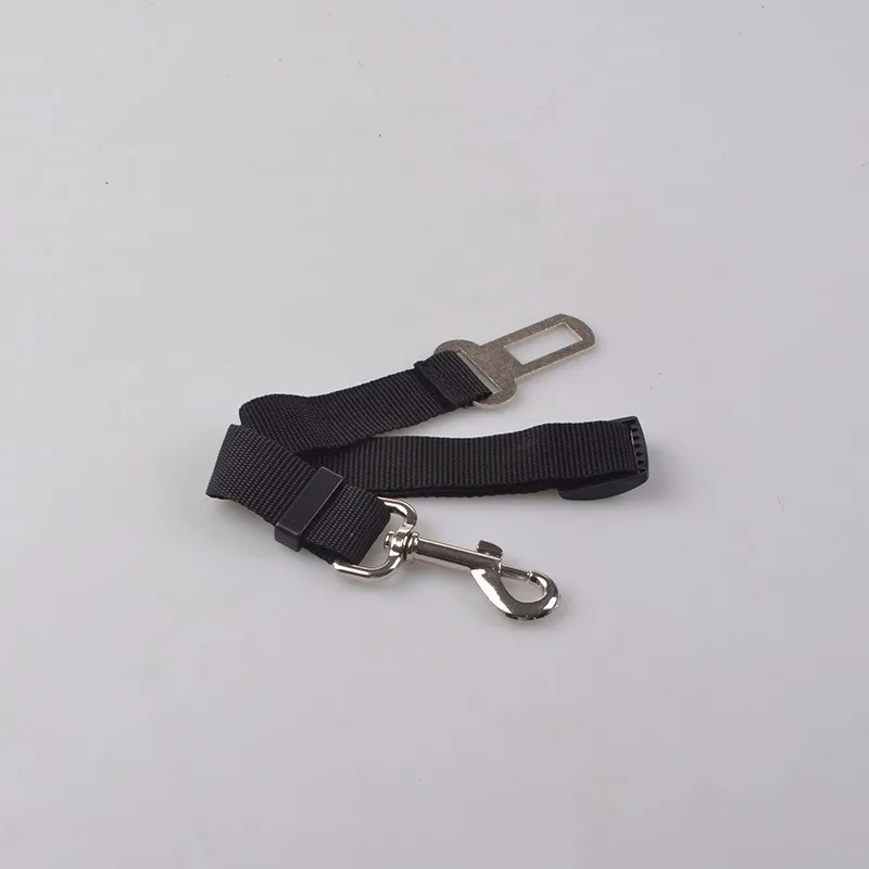 safety strap --11