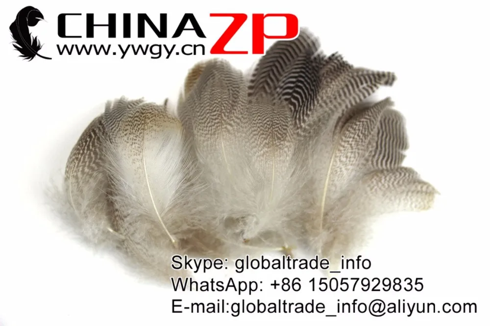 Natural Mallard Duck Feathers (8)