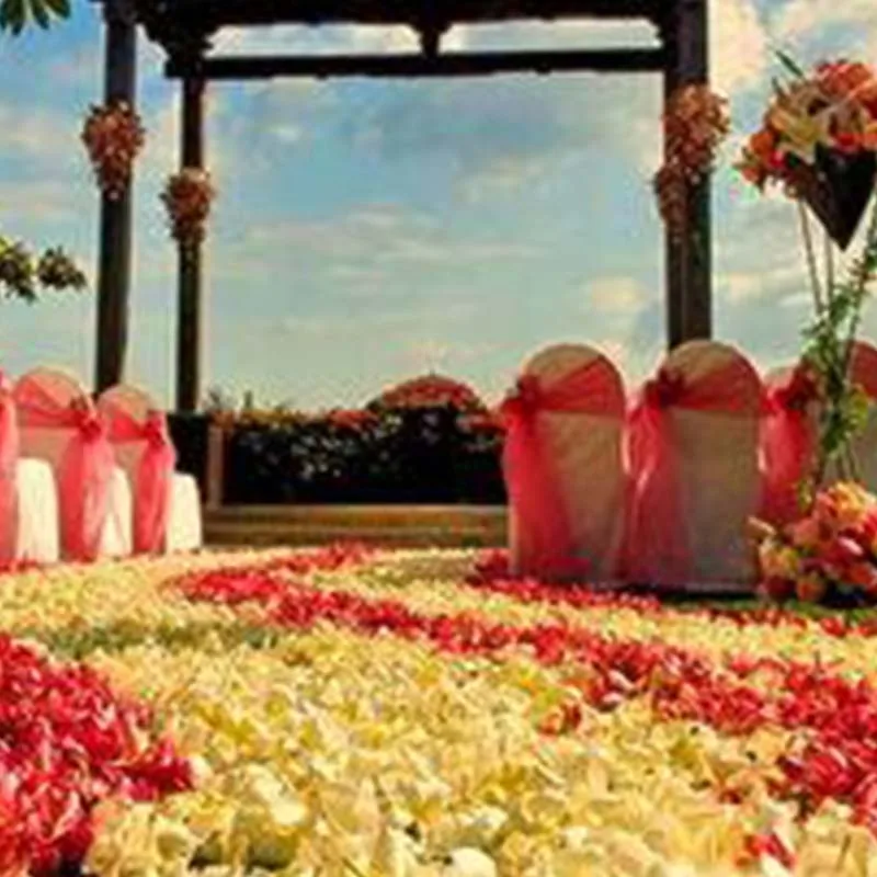 Искусственные цветы с лепестками роз, подходящие для романтического свадебного украшения 2000 шт