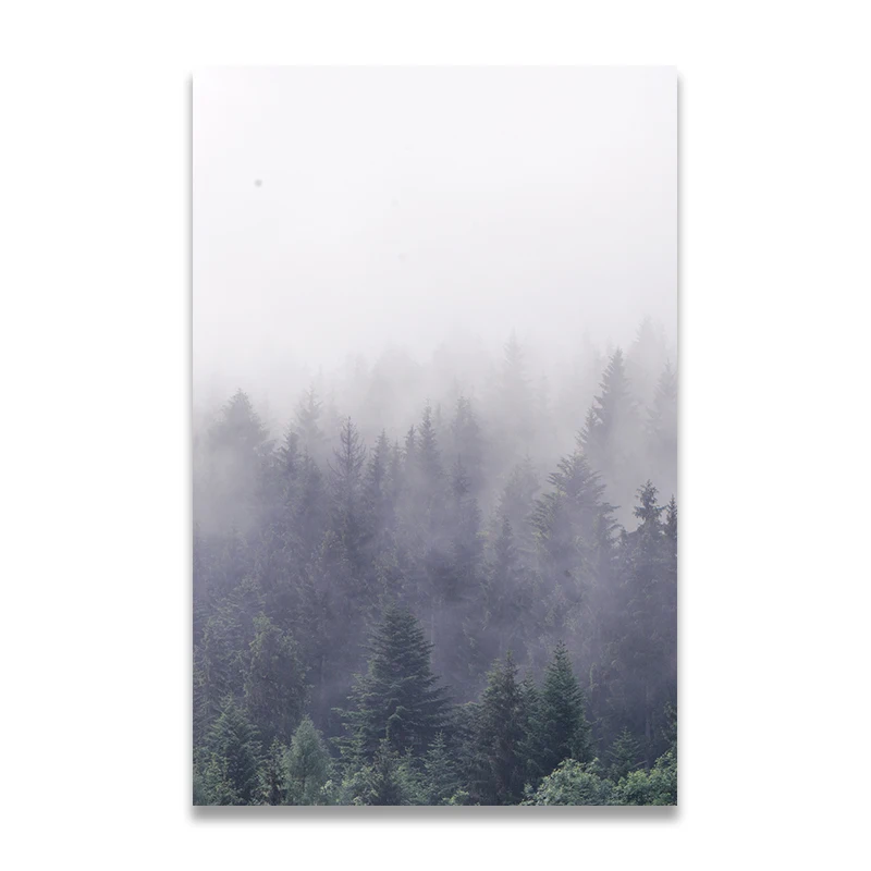 111