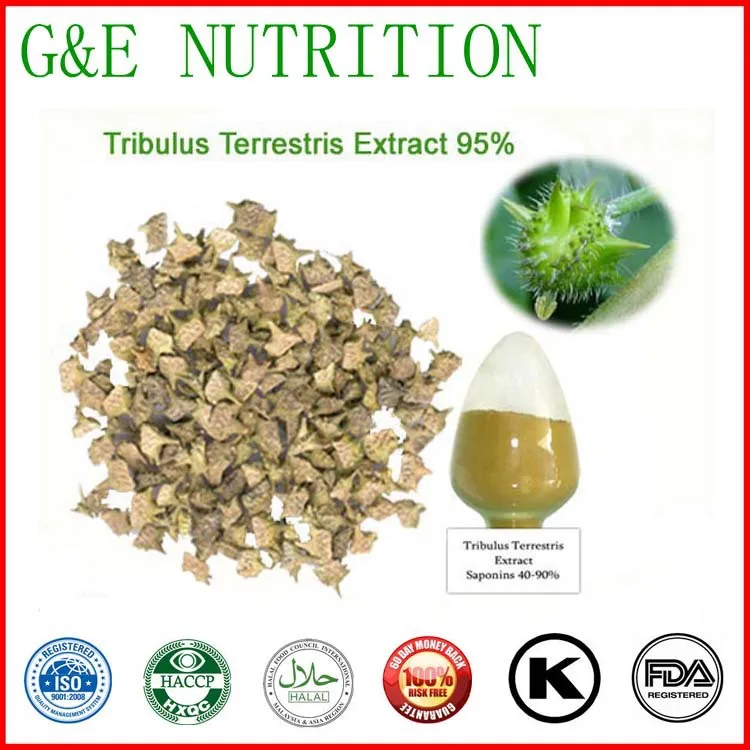 Online Get Cheap Competition Certificates -Aliexpress.com | Alibaba Group