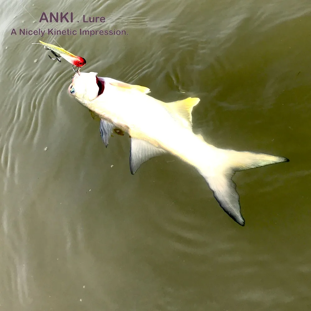 fish2
