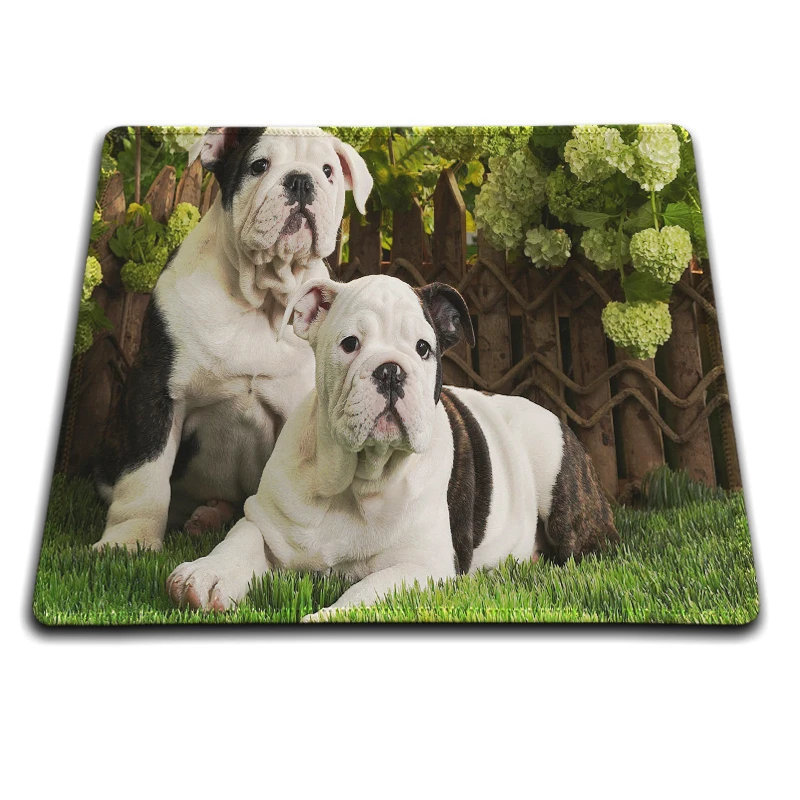 

MaiYaCa Bulldog Puppies Mouse Pad Fashion Computer Notebook Gaming Mice Mat 18*22cm and 25*29cm Lock and No Lock Mouse Pad