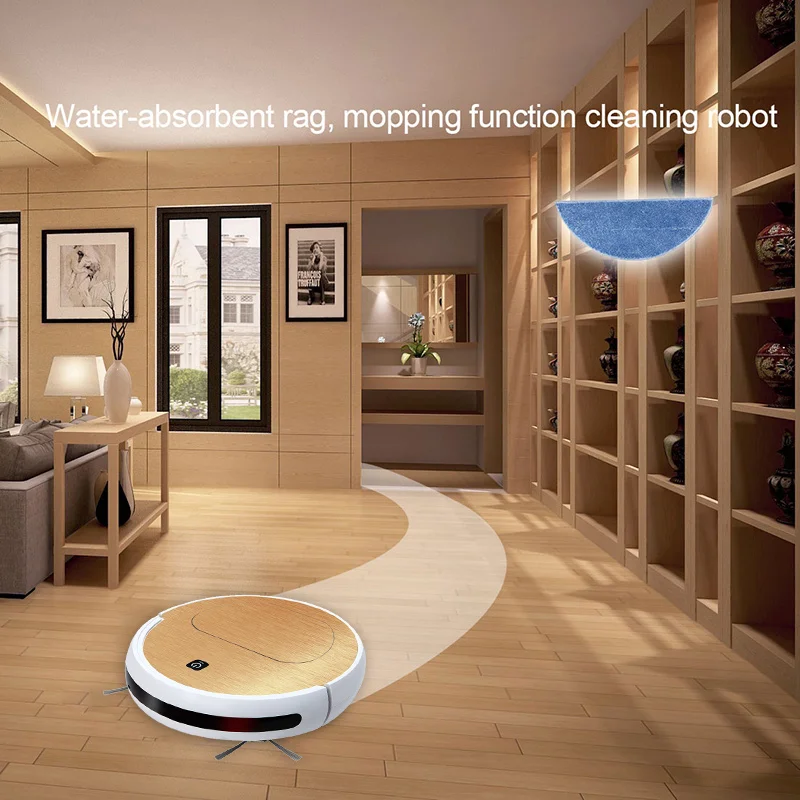 PhoReal FR 6S aspiradora Robot Vacuum Cleaner Wet And Dry 1000pa Suction Robotic Vacuum Cleaner Home aspirateur Robot Cleaner