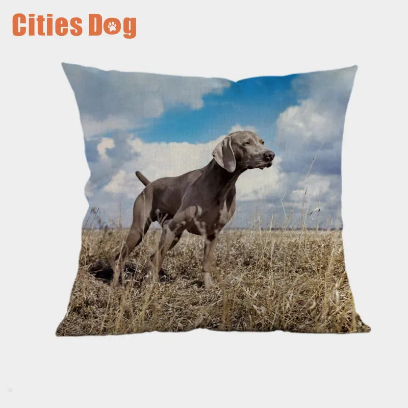 Weimaraner декоративные подушки Чехол для собак cojines размером 45*45 см decoracion с рисунком собак из пледы чехол для подушечки в машину подушки - Цвет: YDQ0060