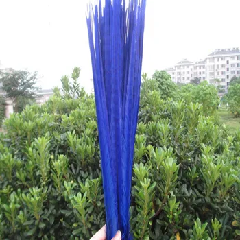 

Pheasant feather wholesale 100 pcs sapphire beautiful length 18 - 20 inch / 45 - 50 cm