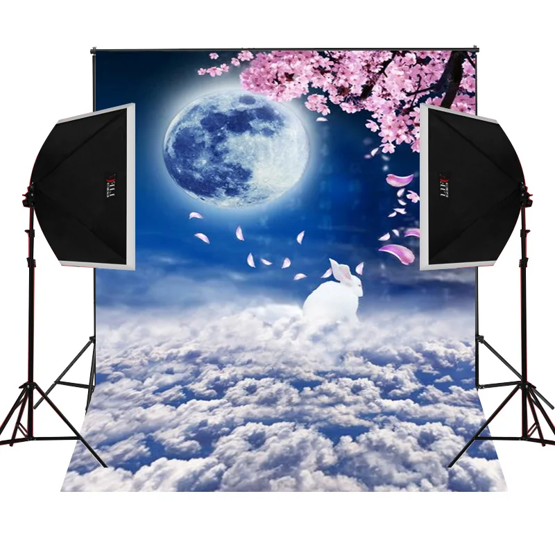 Moon белый кролик живописные для детей фото камеры fotografica Studio винил фотографии