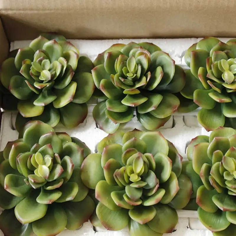 Flowermax мини суккуленты Искусственный Бонсай Поддельные Зеленый Echeveria растений