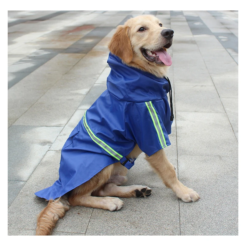 6 dog waterproof 