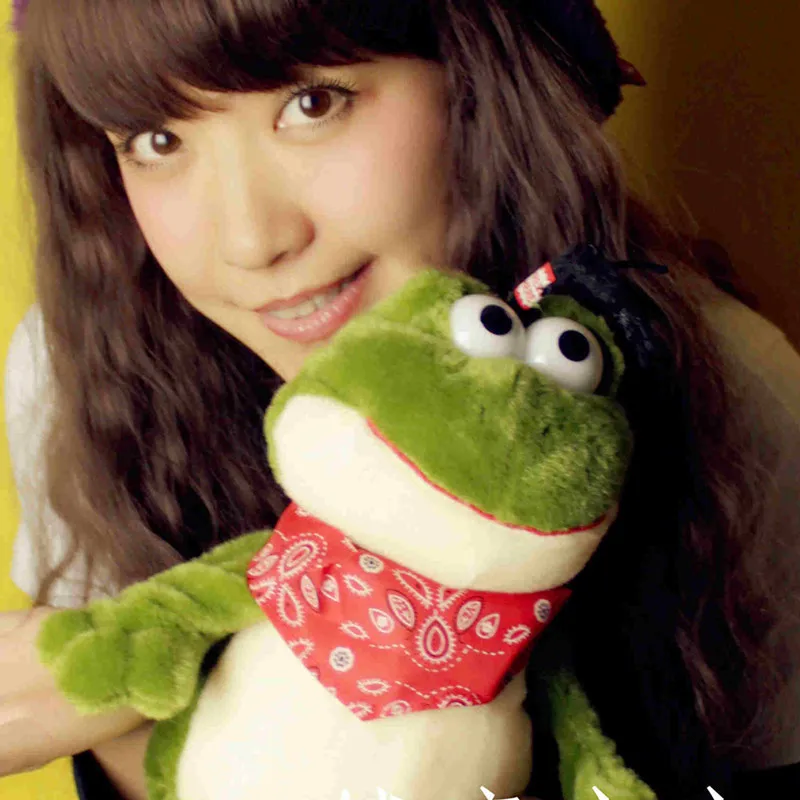 

Talking Singing chicken and duck frog speaking plush toys Electronic stuffed animals for children girls boys baby TIARA