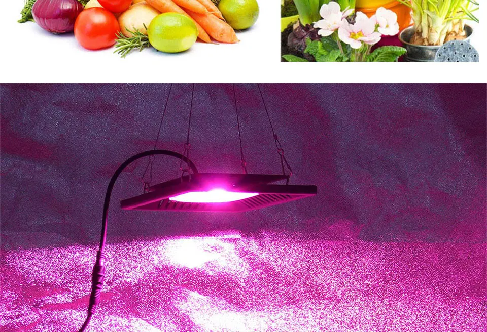AC 110V 220V Driverless COB Plant Growing Lamp 20W 30W 50W Full Specturm Smart IC COB Chip LED Plant Grow Light Feeding Bulbs (22)
