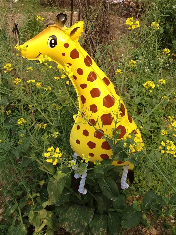 6546