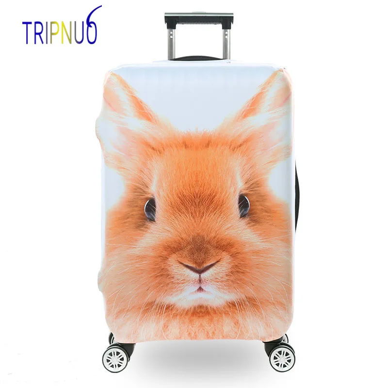 rabbit travel case