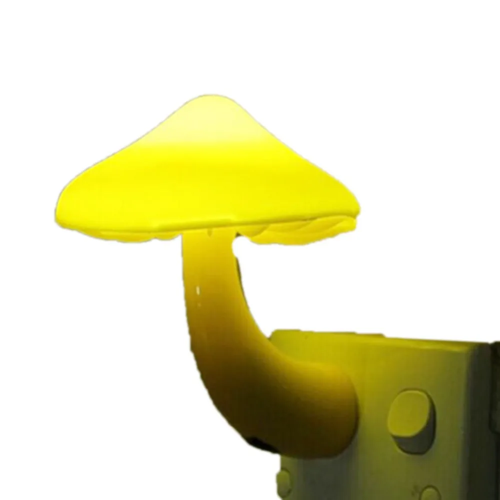 1 (1)