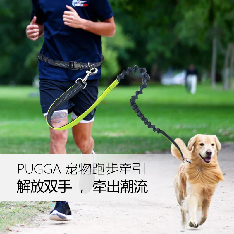 

Nylon Running Leash For Pets Dog Lead Rope Elastic Waist Belt Strap Traction Rope Pets Leash Hiking Training Walk reflective pet