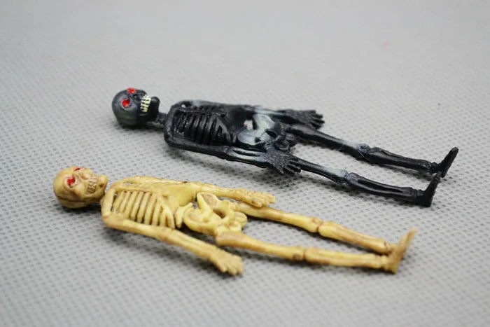 Plastic skull skeleton bones of the human body mod...