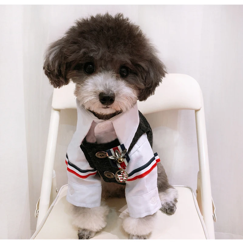 Classy dog clothes Clearance