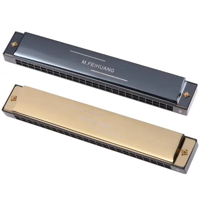 Professional 24 Hole Tremolo Harmonica C Key Octave-tuned Mouth Organ with Case Adult Students Beginners Woodwind Instrument