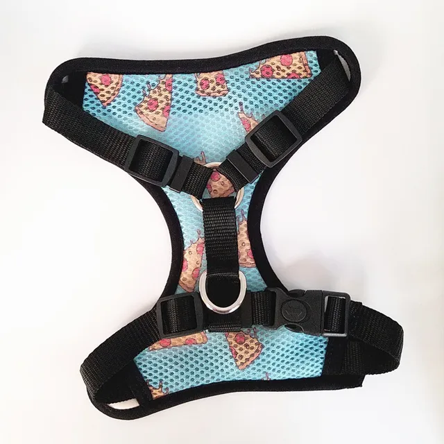 Waterproof Cat Vest Harness 2