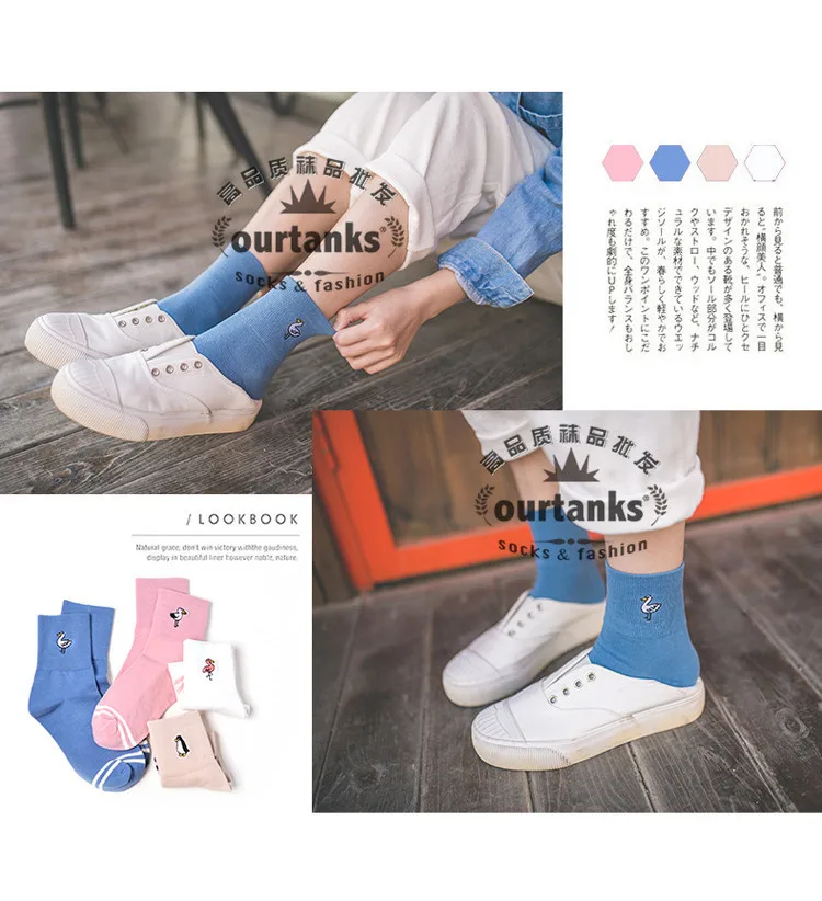 4223189046_935793692