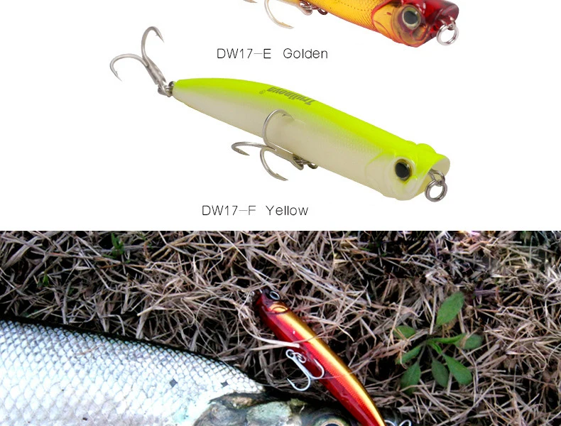 DW17-BPYE-790_14