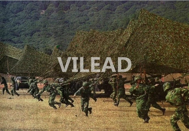 

VILEAD 3M (10FT) Digital Military Woodland Jungle Camouflage Net Army Camo Netting Sun Shelter for Hunting Camping Car-Cover