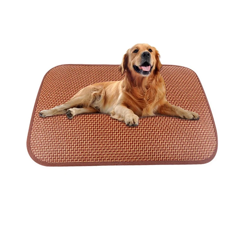 cooling bed for dogs