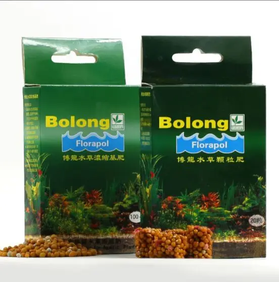 BOLONG