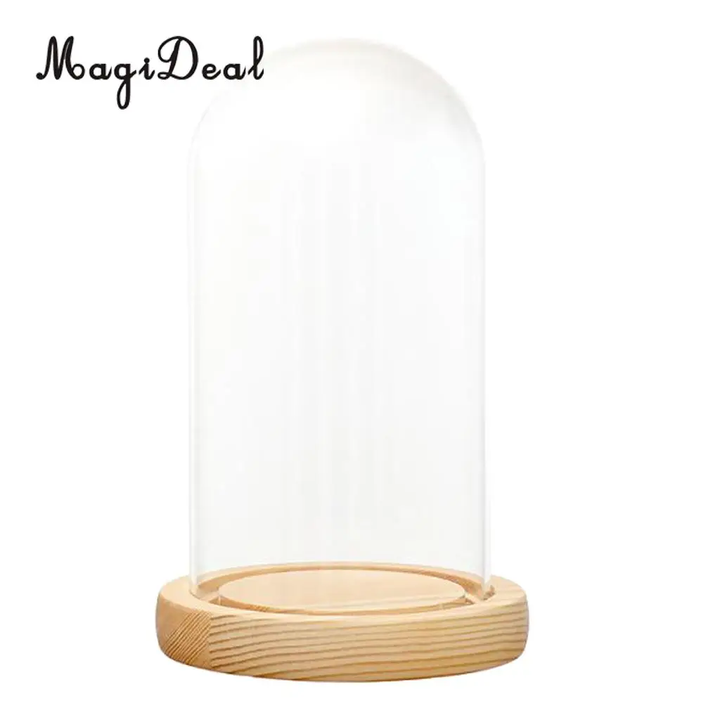MagiDeal Mini Clear Glass Hemisphere Cloche Cover Dome Light Up Cabochon Bell Succulent Terrariums Air Plant Covers With Cork	