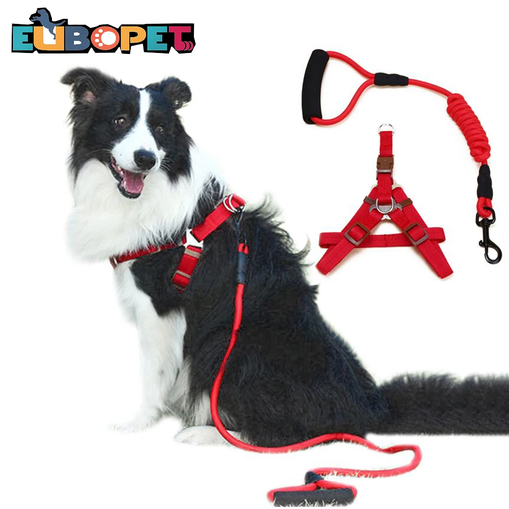 Pet Harness for Dog Cat Leash Set Lead Collar Adjustable Traction Rope