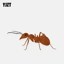YJZT 13,7*5,3 см таинственный цветной Хищник муравьи Декор Автомобильные наклейки бампер окна автомобиля по индивидуальному заказу 11A0660