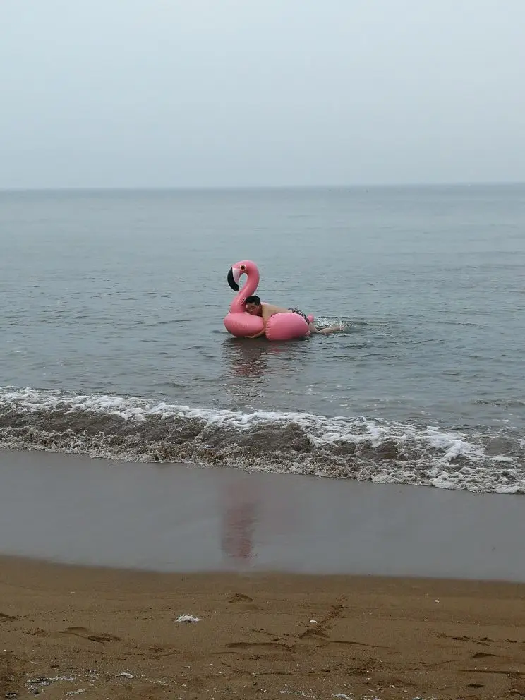 150 cm flamingo