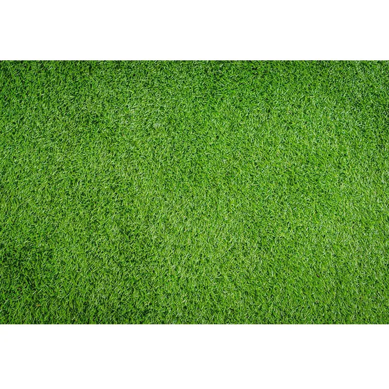 Vinyl Playground Background for Photography Green Grass Photo Backdrop