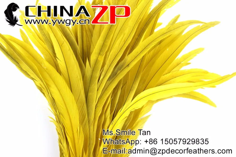 23 Rooster Tail Feather wholesale (4)