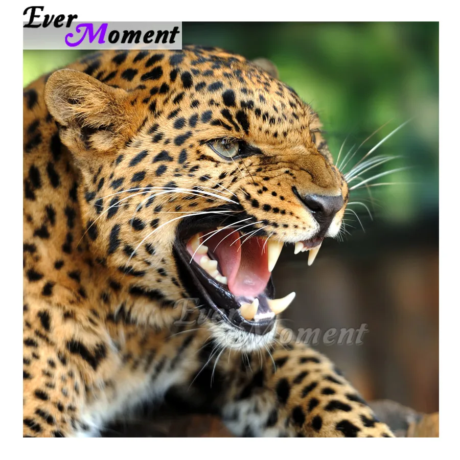 

Ever Moment Diamond Painting 5D DIY Decor Leopard Handmade Picture Of Rhinestone Full Square Diamond Embroidery Mosaic S2F2077