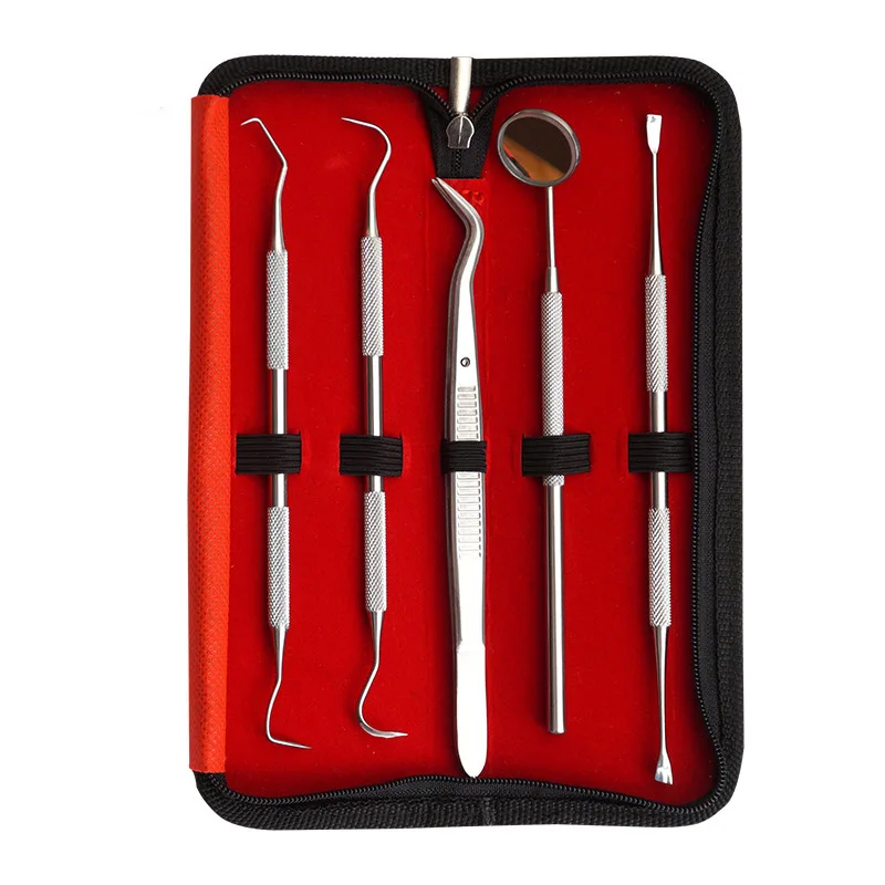 

5pieces/set Stainless Steel Dental Tool Set Family Use Dentist Tool Kit Dental Mirror With PU Case
