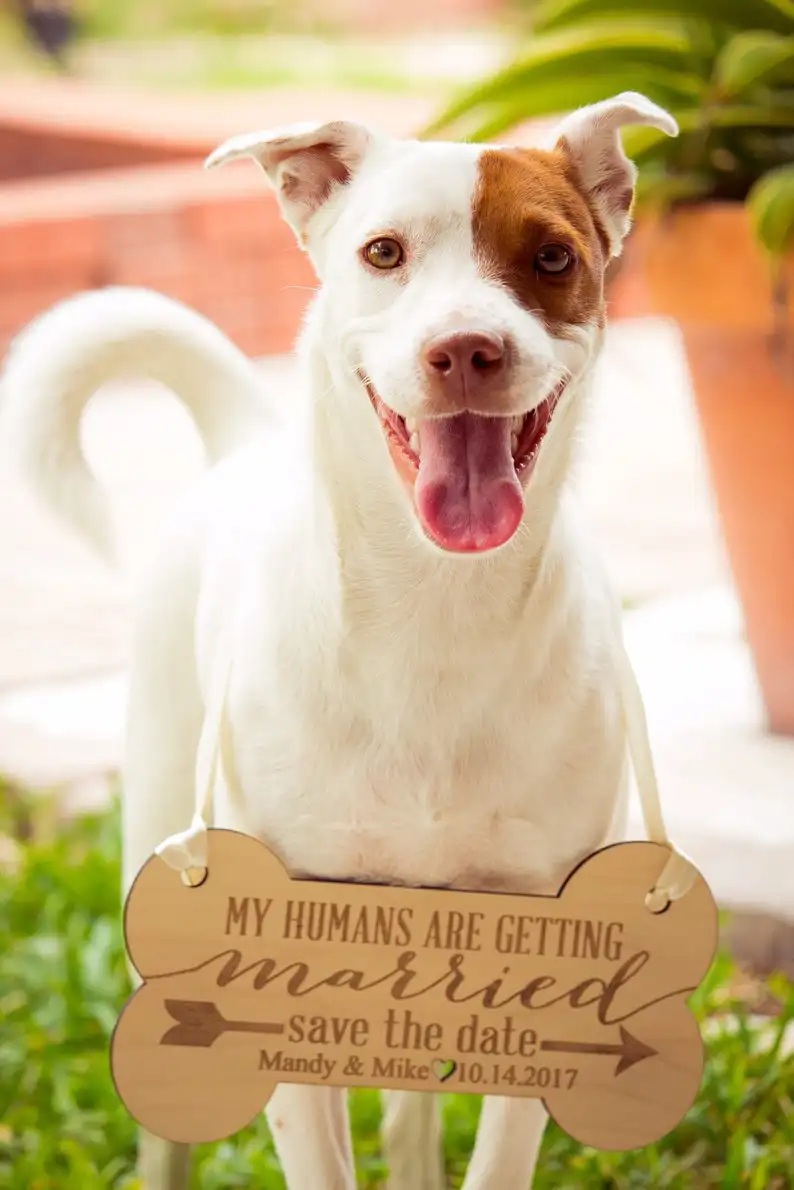 Letrero personalizado para mascotas, accesorio para fotos de compromiso, guardar  Fecha, perro, fotos de boda, image size:794x1190
