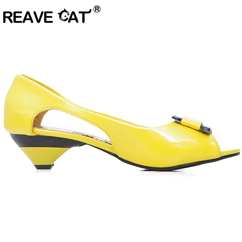 REAVE CAT Plus size 31-43 Small Wedge Peep toe Multi color Summer Women sandals Flower Patent Open toe Cone heels Casual Flats