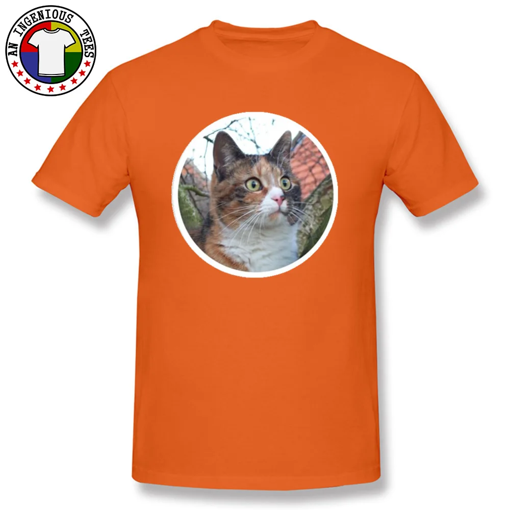 Beautiful Calico Cat New Design Short Sleeve Normal T-Shirt 100% Cotton Crewneck Men Tops Shirts Comics Sweatshirts Summer Fall Beautiful Calico Cat orange