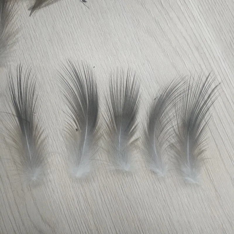 50 PCS Rare Natural Heron Feather 2-3 inches / 5-8 cm 2