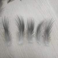 50 PCS Rare Natural Heron Feather 2-3 inches / 5-8 cm 2