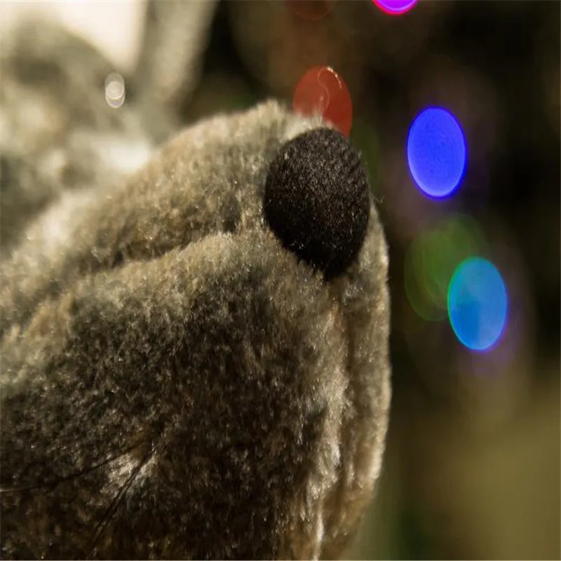 36020181214205718322