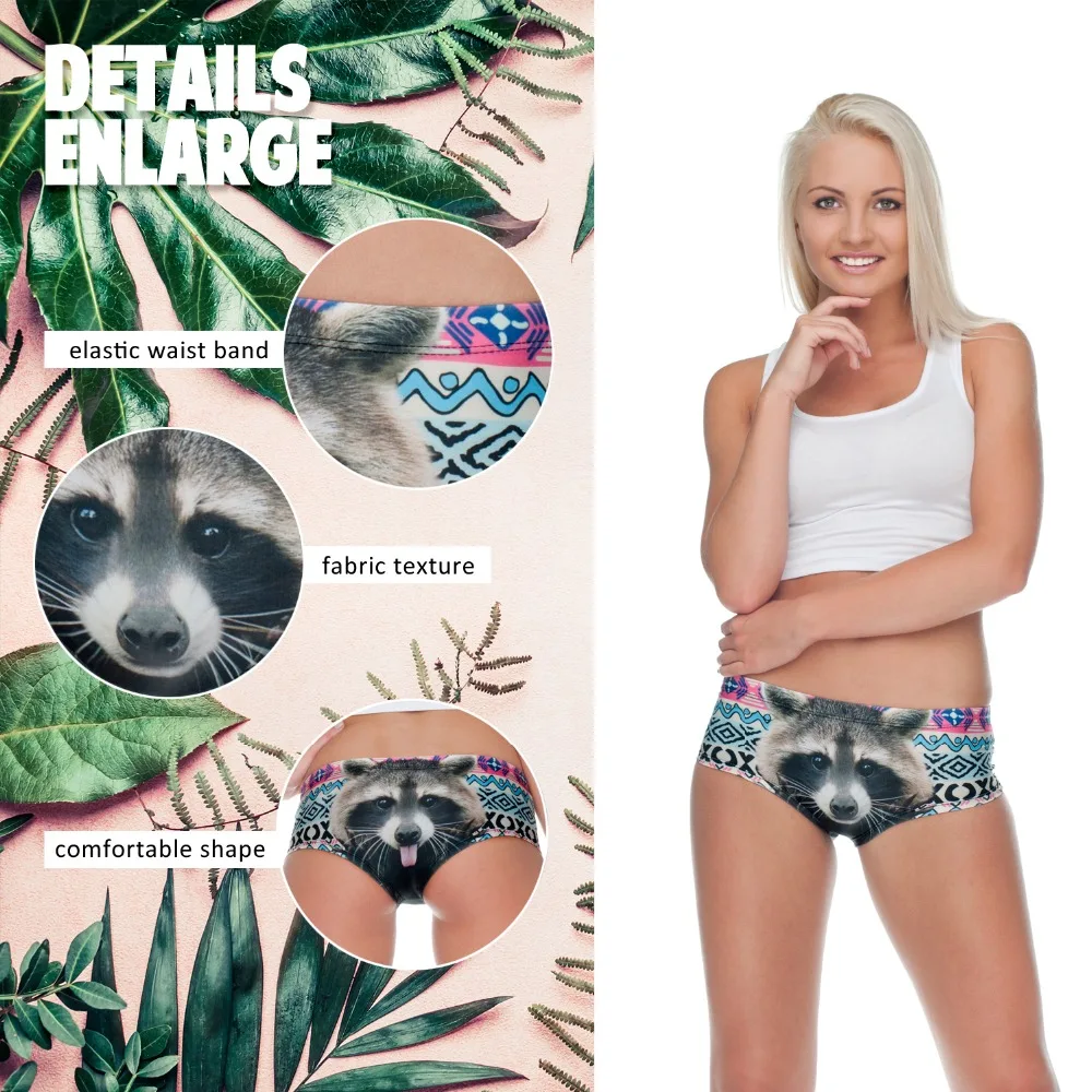 35006 racoon aztec (2)