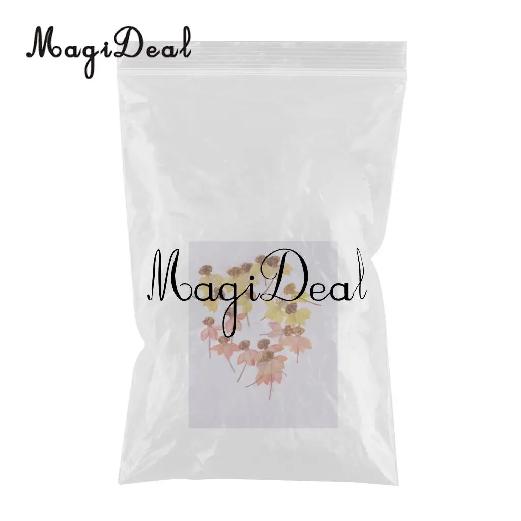20pcs Beautiful Dancing-Doll Orchid Real Pressed Flower Dried Flowers for Art Craft Scrapbooking Resin Jewelry Making Phone Case