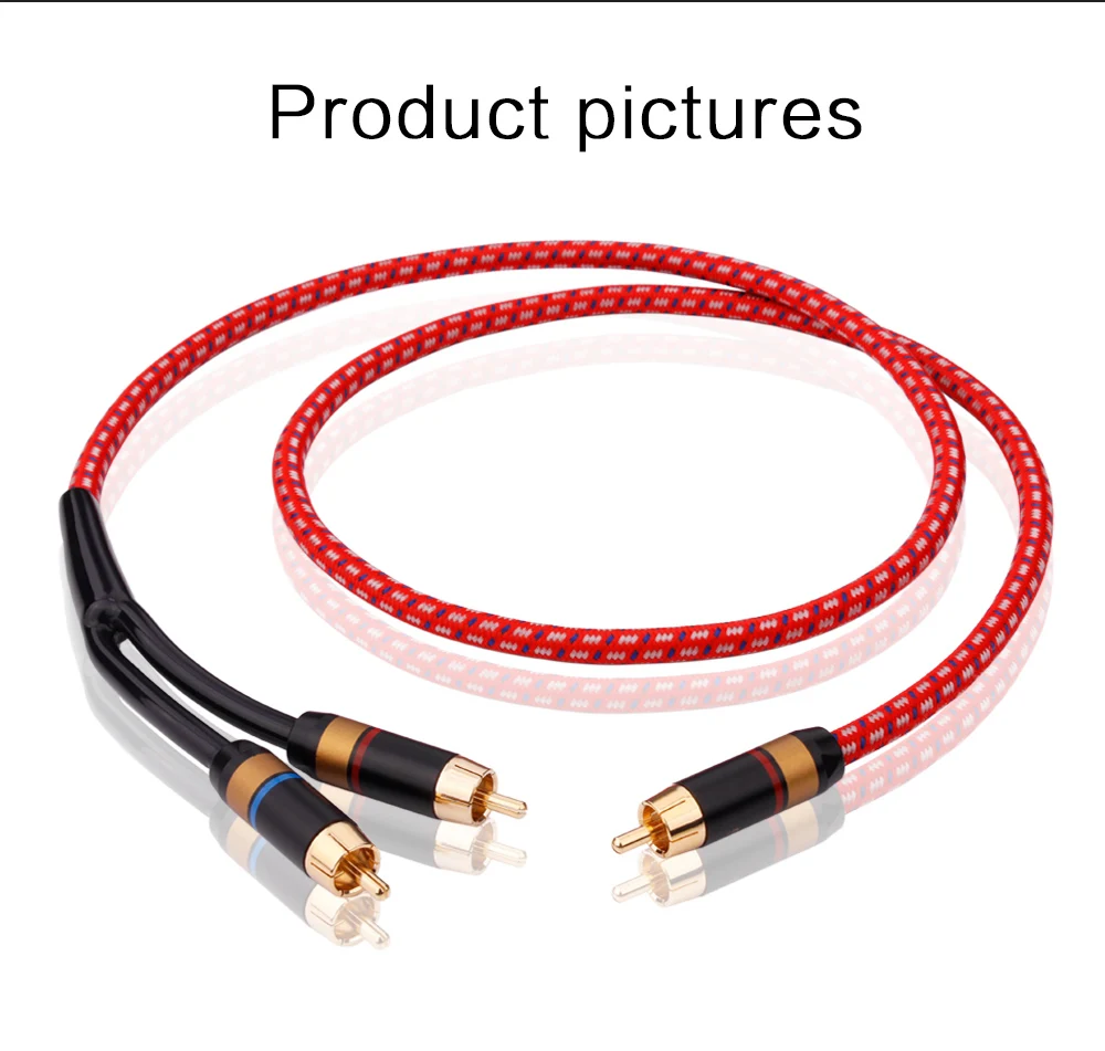 G1--RCA2RCA-_11