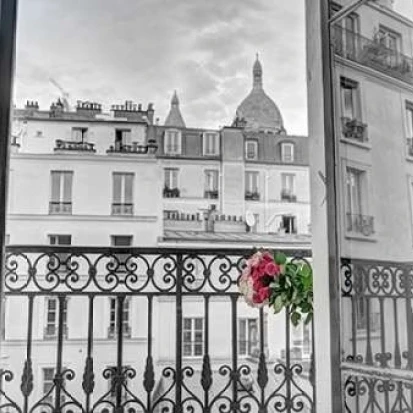Bunch of flowers on balcony railing in an apartment of Montmartre  Paris  France Poster Print by Assaf Frank (9 x 12)