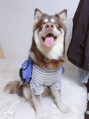 图片9