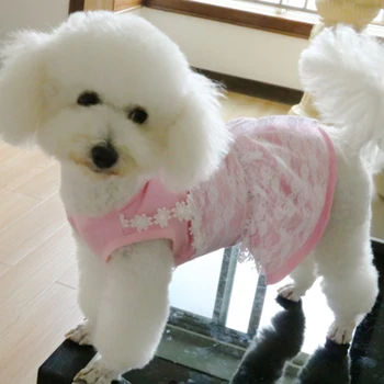 

Pet Dog Dress Summer Refreshing Fake Two Pieces Style For Small Dogs Stretch Cotton Lace Bow-Knot Puppy Skirt Clothes Poodle Pug