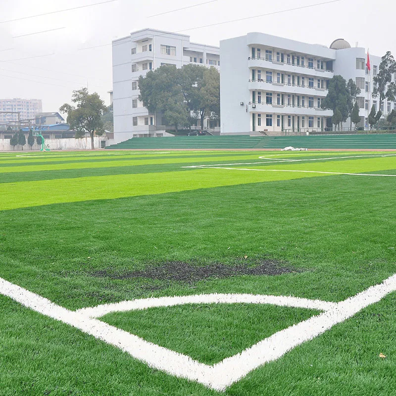 Image Hot Selling Turfgrass Grass Seeds (Golf Soccer Fields Villa) Special Grade Evergreen Lawn Seeds 1200 Seeds