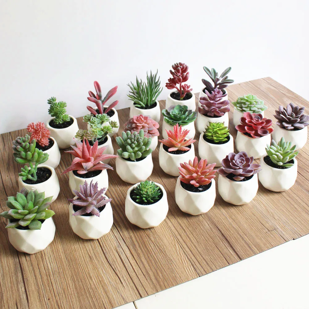 

12 PCS Artificial Succulent Plants Fake Artificial Bonsai with Pots Decorative Ball Plants Artificial Flower Mini Plants